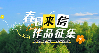 用鏡頭展現山南