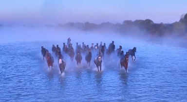 晨霧下的昭蘇濕地美成了詩畫